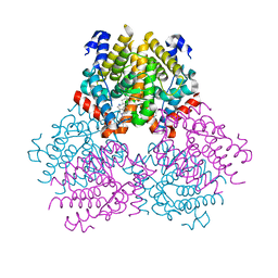 BU of 2pjl by Molmil