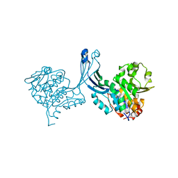 BU of 2pkf by Molmil