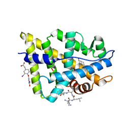 BU of 2pkl by Molmil