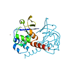 BU of 2pkp by Molmil