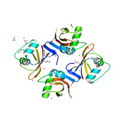 BU of 2pli by Molmil