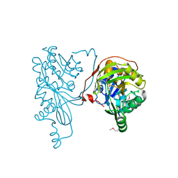 BU of 2pn1 by Molmil