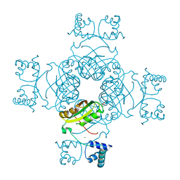 BU of 2pn6 by Molmil