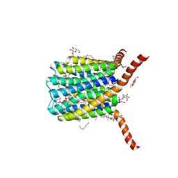 BU of 2pno by Molmil