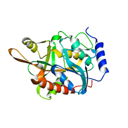 AU of 2pnp by Molmil