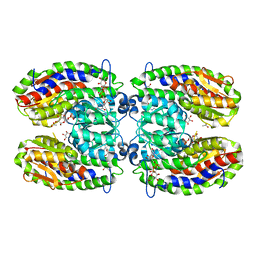 BU of 2poc by Molmil