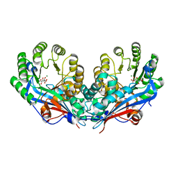 BU of 2pp3 by Molmil