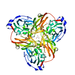 BU of 2pp7 by Molmil