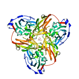 BU of 2pp8 by Molmil