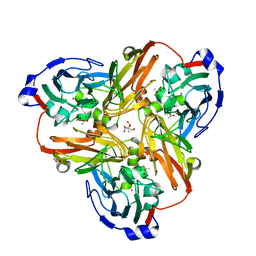 BU of 2pp9 by Molmil