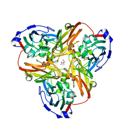 BU of 2ppf by Molmil