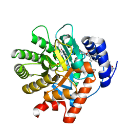 BU of 2prh by Molmil