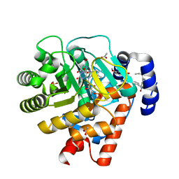 BU of 2prl by Molmil