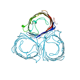 BU of 2prn by Molmil