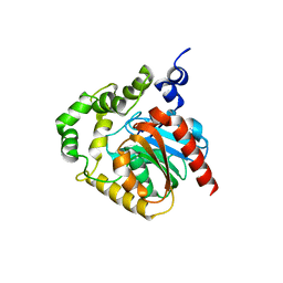 BU of 2psf by Molmil