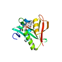 BU of 2psw by Molmil