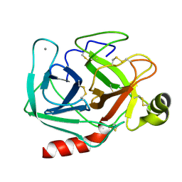 BU of 2ptn by Molmil