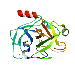 AU of 2ptp by Molmil