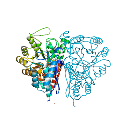 BU of 2pu0 by Molmil