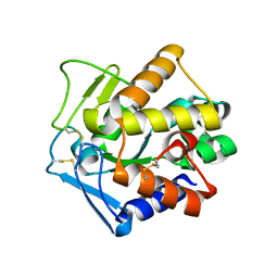 BU of 2pu3 by Molmil