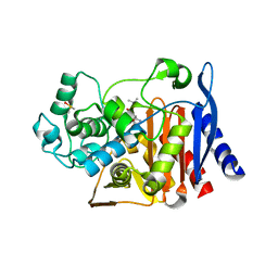 BU of 2pu4 by Molmil