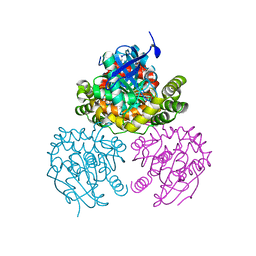 BU of 2pu5 by Molmil