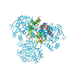 BU of 2pu7 by Molmil