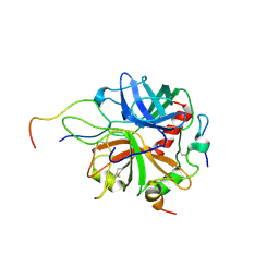 BU of 2pv9 by Molmil