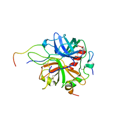 BU of 2pv9 by Molmil