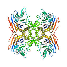 BU of 2pva by Molmil