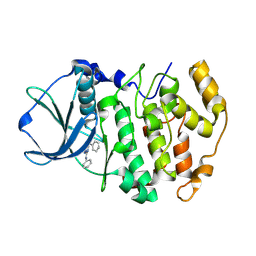 BU of 2pvh by Molmil