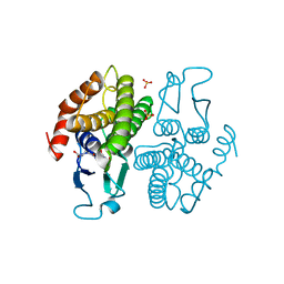 BU of 2pvq by Molmil