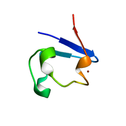 BU of 2pvx by Molmil