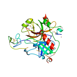 BU of 2pw8 by Molmil