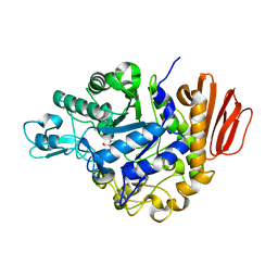 BU of 2pwd by Molmil