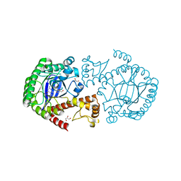 BU of 2pwv by Molmil