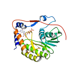 BU of 2pxa by Molmil