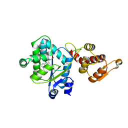 BU of 2pxh by Molmil