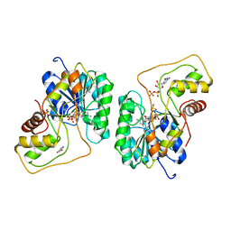 BU of 2pzm by Molmil