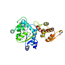 AU of 2q1i by Molmil