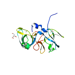 BU of 2q2h by Molmil