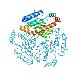 BU of 2q2x by Molmil