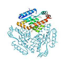 BU of 2q2x by Molmil