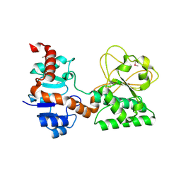 BU of 2q99 by Molmil