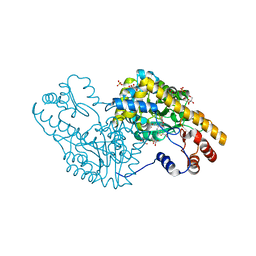 BU of 2qbt by Molmil