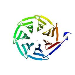 BU of 2qc5 by Molmil