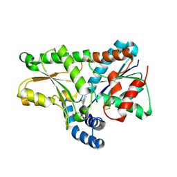 BU of 2qd1 by Molmil