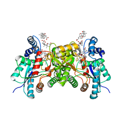 BU of 2qd5 by Molmil