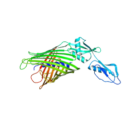 AU of 2qdz by Molmil