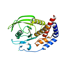 BU of 2qep by Molmil